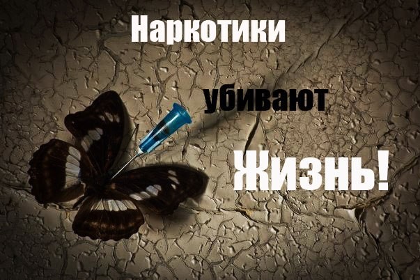 наркотики убивают